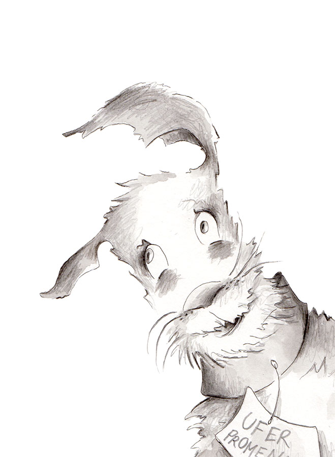 dog illustration children's book