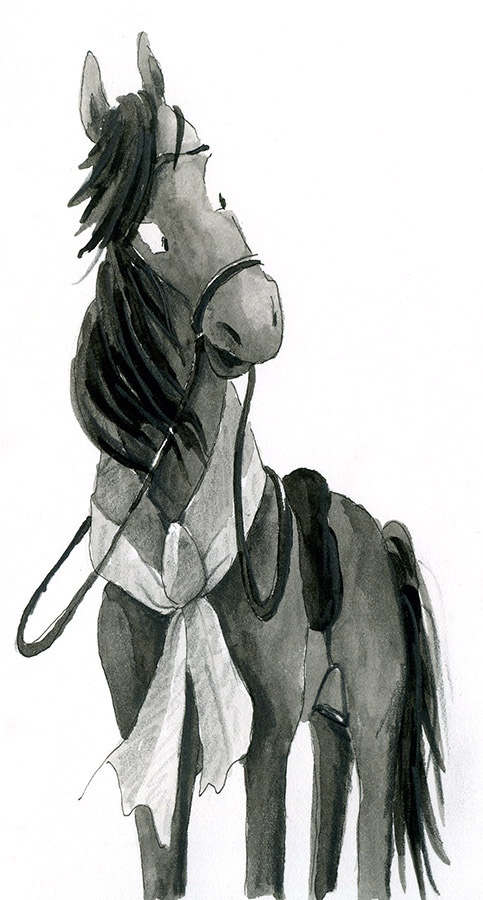 Horse illustration