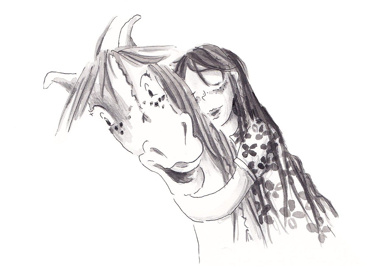 Horse book pony illustration